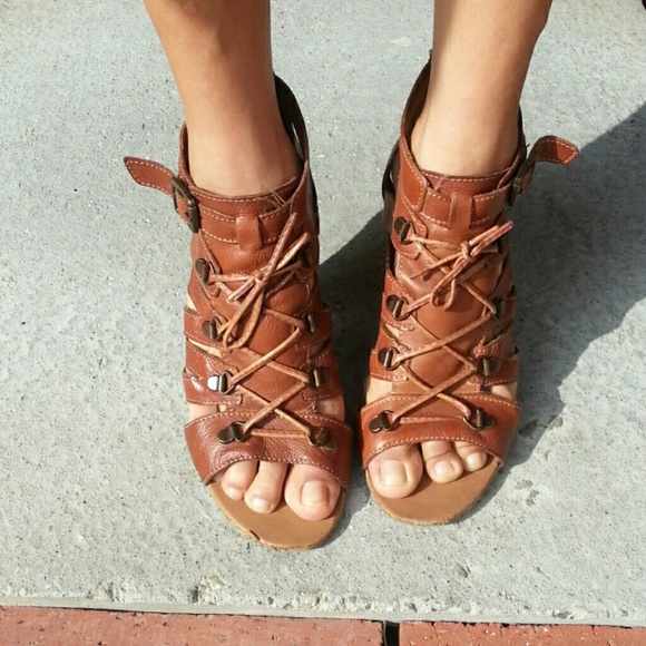 Aldo Gladiators
