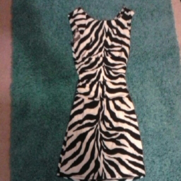 Zebra Print Social Dress