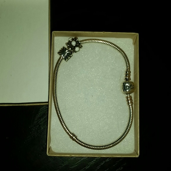 Pandora bracelet with charms
