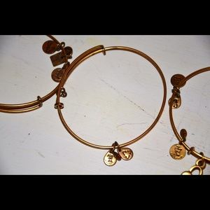 Gold bangle alex and Ani