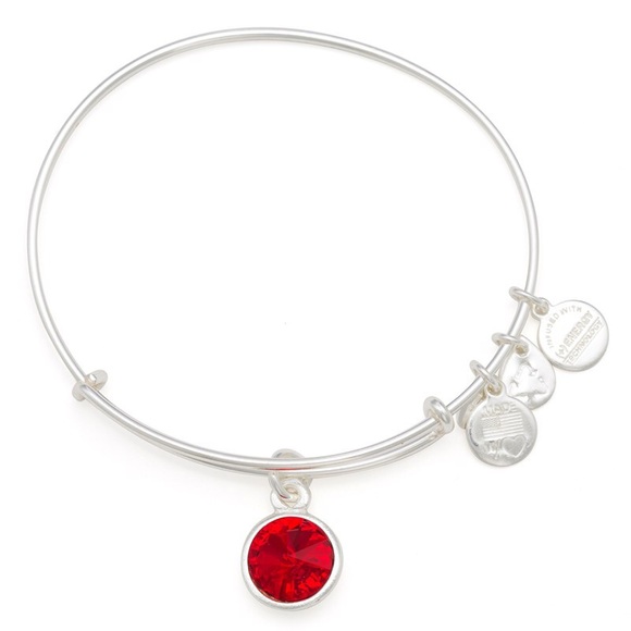 Alex and Ani silver birthstone bracelet