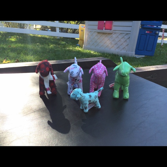VS Pink dogs
