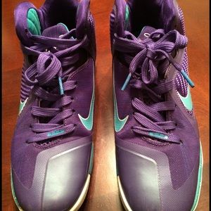Mens LeBron James 9 "Hornets"