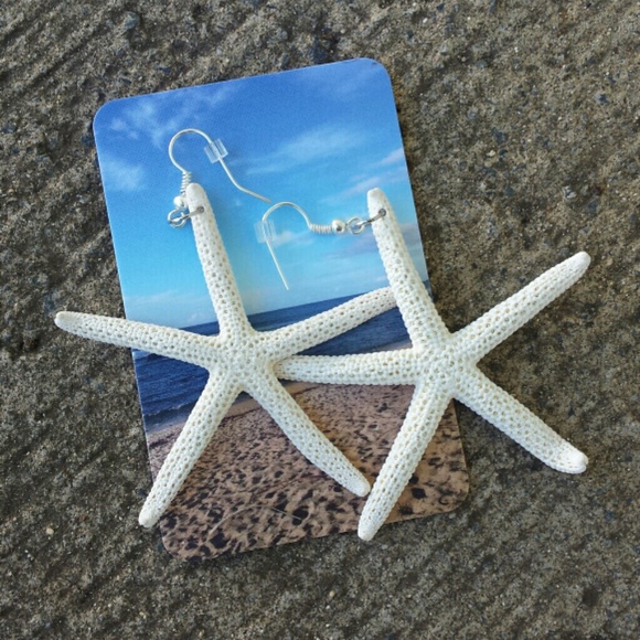 SALE! Real Natural White Starfish Earrings