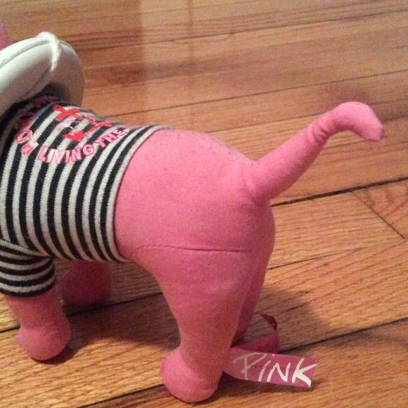 Victoria Secret dog - Picture 4 of 4