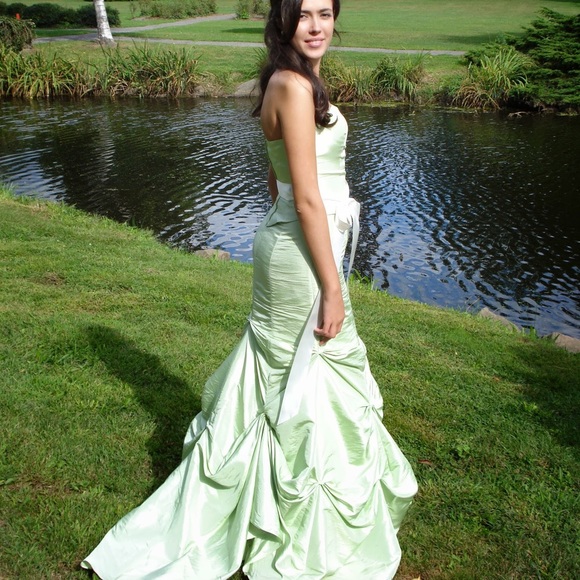 Fit and Flare Prom Dress or Bridesmaid Dress