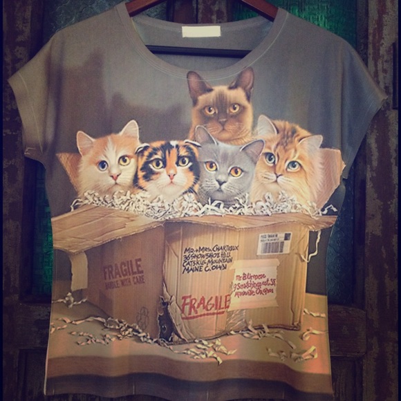 Fragile ! Kitten T shirt - Picture 1 of 2