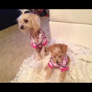 My two lil pups just saying hi !!