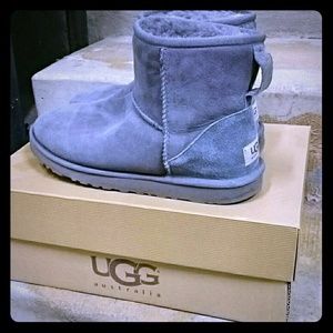 Short gray uggs! Great condition
