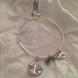 Alex & Ani Bracelet