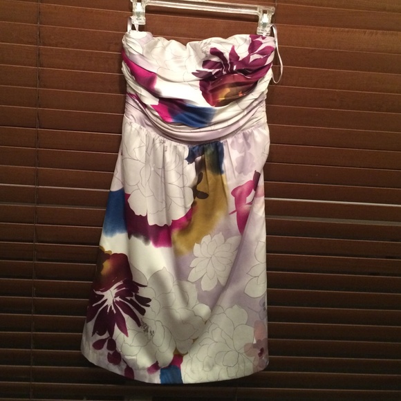 The limited dress size 4