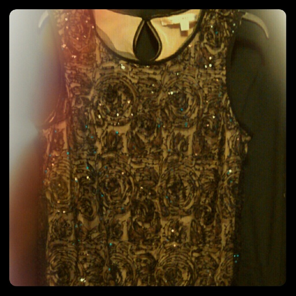 REDUCED Max Studio lace top W/ nude lining - Picture 1 of 3