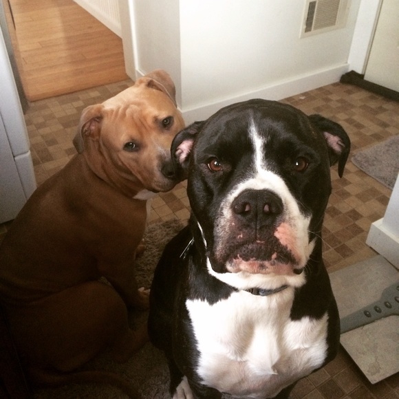 *Meet your seller* - Picture 3 of 4