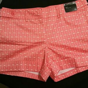 New York & Co. Shorts