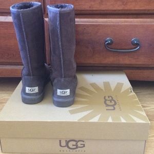 Brown tall Uggs size 6