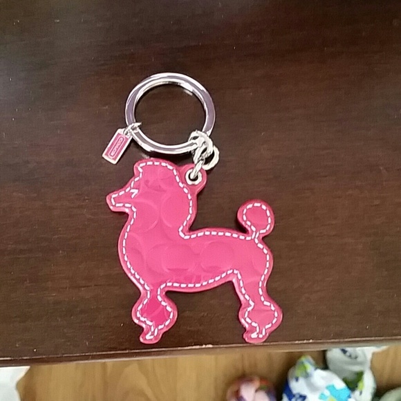 Coach poodle