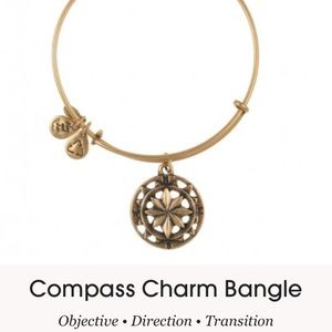 Alex & Ani Compass bracelet