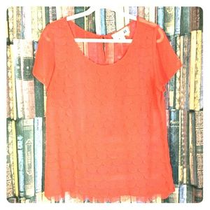 Sheer orange scalloped cut top