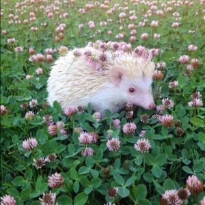 ⭐️Bundle for @nataliesdenny⭐️