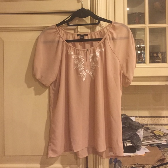 Sheer Pale Pink Blouse