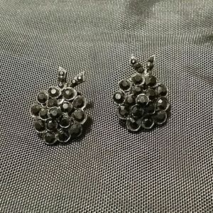Earnings Black Crystal Clips On