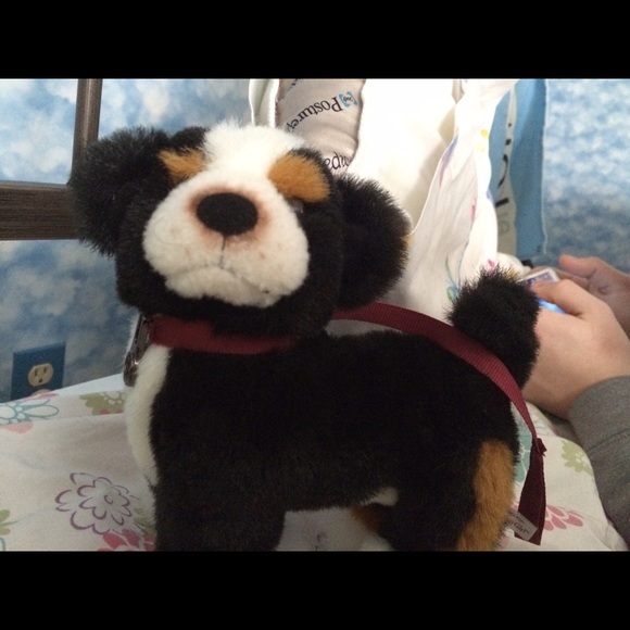 American girl dog retired