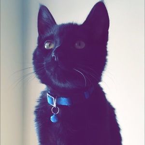 Hi ladies! Mama says I bite hard!