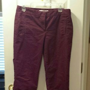 LOFT Capri Pants