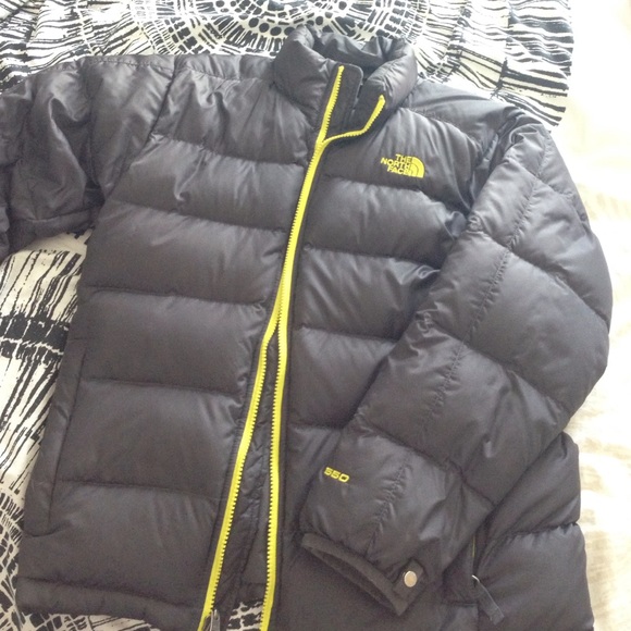 Northface Winter Puff Coat