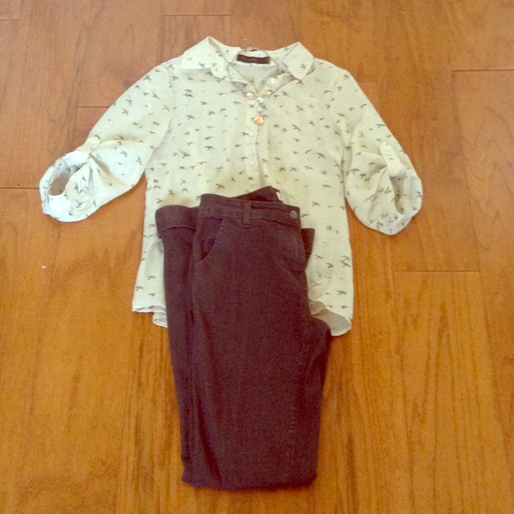 Brown cache boot cut pants