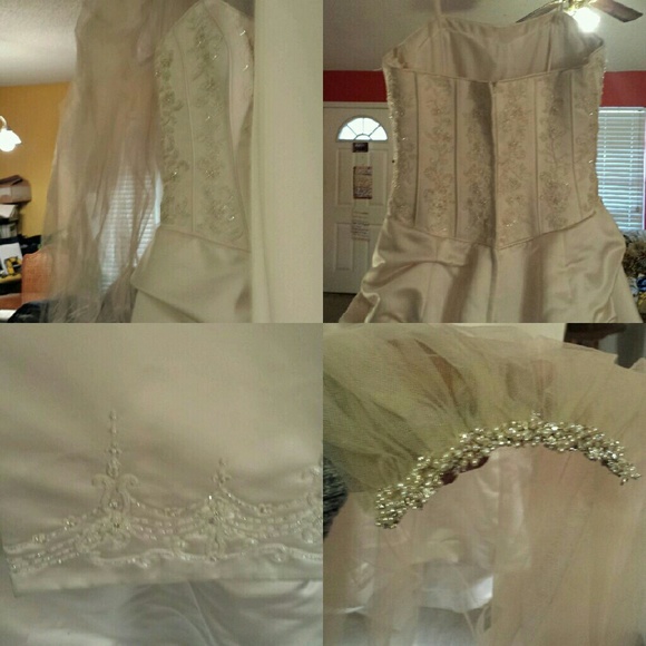 This is a Bundle wedding dress, shawl, & veil - Picture 4 of 4