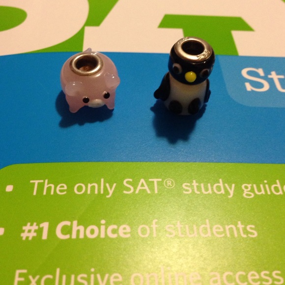 Pandora Bracelet Beads! ‼️Lowest Price‼️ NWOT