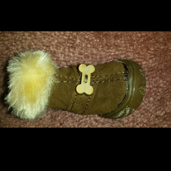 Doggie boots