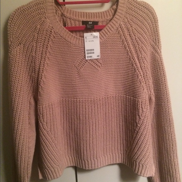 H&M sweater