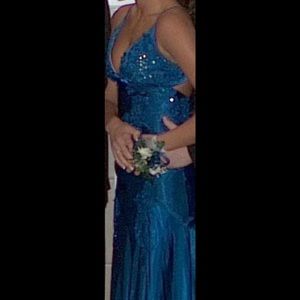 Prom/winter formal dress