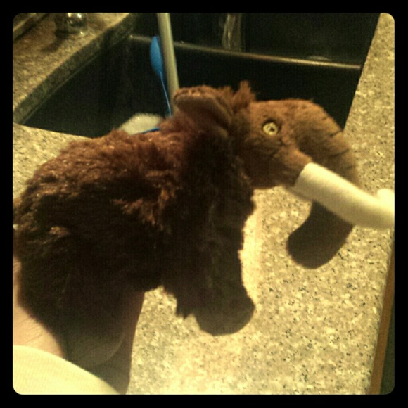 Wooly Mammoth