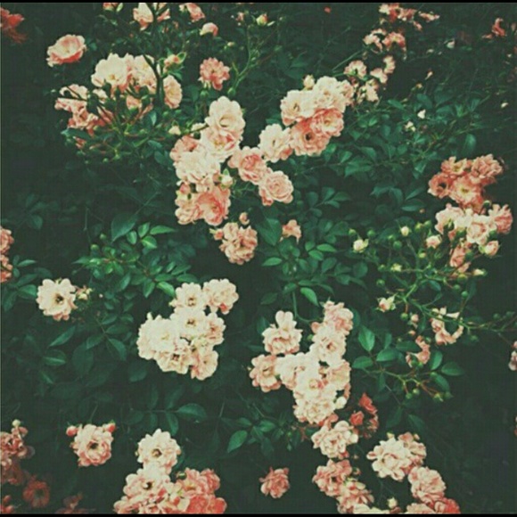 Hello - Picture 1 of 1