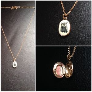 Owl locket necklace
