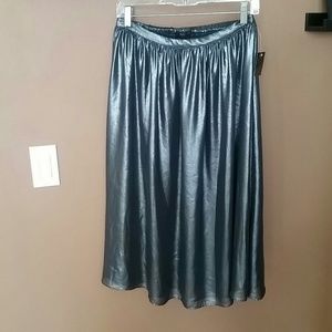 ZaraMetalicSilver/GraySkirt