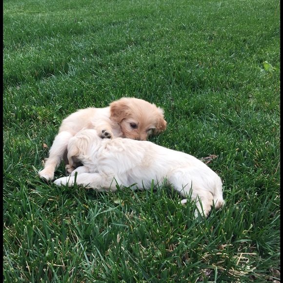 π Meet your buyer/seller! π - Picture 2 of 2