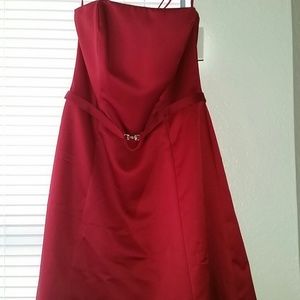 Dress from David's Bridal