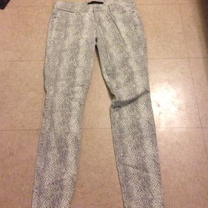 Material girl snakeskin print pants