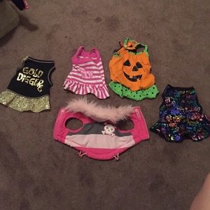 5 dog clothes