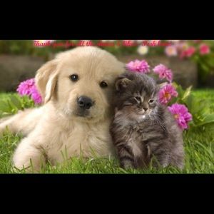 Thank you for all the likes & shares - Posh Love!