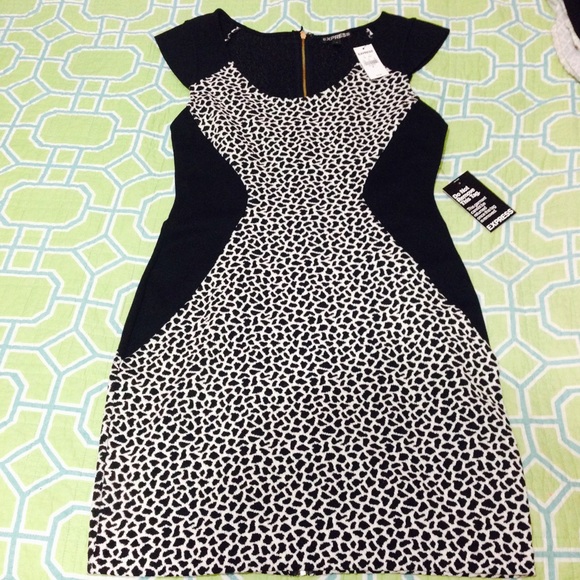 Night out 🌟 Express Body Con Dress