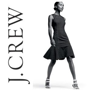 J Crew Paneled Eyelet dress NWOT