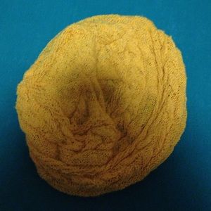 Yellow earthbound beret