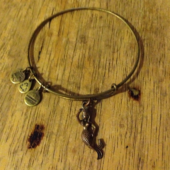 Alex and Ani Mermaid charm bracelet!