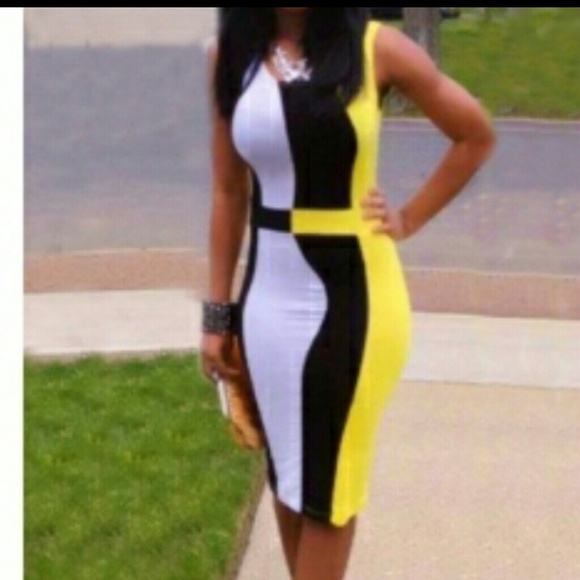 Bodycon Color block dress