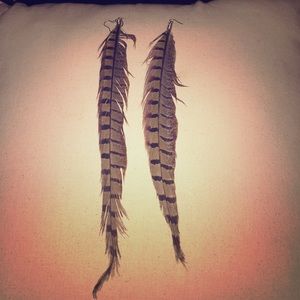 Feather earrings